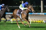 Falcent Beats Eloping In Barrier Trial Falcent Beats Eloping In Barrier Trial