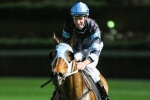 The Cleaner to lead out the field for the 2014 Railway Stakes