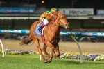 Tudor On Second Line Of Australia Stakes Betting