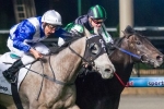 Shamus Award Spot On Heading Into The Caulfield Guineas Shamus Award Spot On Heading Into The Caulfield Guineas