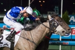 Divine Calling Survives Protest To Win Stutt Stakes Divine Calling Survives Protest To Win Stutt Stakes