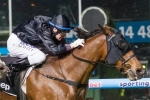 Mourinho Returns To Winners Circle With JRA Cup Victory Mourinho Returns To Winners Circle With JRA Cup Victory