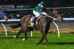Samaready To Begin Autumn Campaign In Black Caviar Lightning Stakes