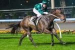 Samaready To Target Adelaide Group 1’s