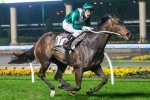 Samaready hardest to beat in Black Caviar Lightning, says Ryan