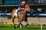 Chase The Rainbow And Vatican To Carry Top-Weight In Doveton Stakes