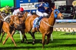2014 BTC Cup Tips: Buffering The Horse To Beat