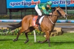 Snitzerland looking for Spring Group 1 win, then Royal Ascot Snitzerland looking for Spring Group 1 win, then Royal Ascot