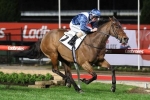 Viddora wraps up Winterbottom Stakes defence with slick gallop