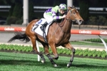 I Am A Star in top shape for return in Aurie’s Star Handicap