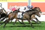 She Will Reign Early in Oakleigh Plate