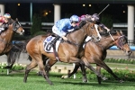Don’t Doubt Mamma To Myer Classic Following Stocks Stakes Victory Don’t Doubt Mamma To Myer Classic Following Stocks Stakes Victory