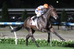 Caulfield Guineas An Option For Stutt Stakes Winner Hey Doc Caulfield Guineas An Option For Stutt Stakes Winner Hey Doc