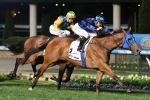 Winterbottom Stakes 2015: Heathcote Bullish About Buffering Winterbottom Stakes 2015: Heathcote Bullish About Buffering