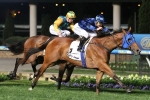 Manikato Stakes 2015: Heathcote Bullish About Buffering