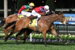 Cox Plate The Goal For Fenway After Stocks Stakes Win