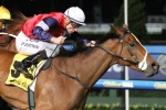 Blake Shinn race against time to be fit to ride Fenway in Australian Cup