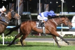 Sovereign Nation Into Caulfield Guineas Following Stutt Stakes Victory