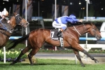Sovereign Nation Into Caulfield Guineas Following Stutt Stakes Victory Sovereign Nation Into Caulfield Guineas Following Stutt Stakes Victory