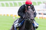 Williams Pleased With Cox Plate Barrier Draw For Side Glance Williams Pleased With Cox Plate Barrier Draw For Side Glance
