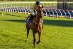 Criterion And Spillway To Queen Elizabeth Stakes