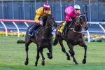 Hampton Court Draws Fairly In Victoria Derby Barrier Draw