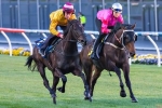 Silent Achiever Likely To Contest Doomben Cup Silent Achiever Likely To Contest Doomben Cup