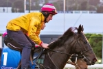 Silent Achiever’s career at crossroads, decision to be made on her future Silent Achiever’s career at crossroads, decision to be made on her future