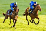 Melbourne Cup Betting Building for Willing Foe