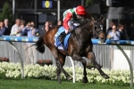 Golden Slipper winners team up in William Reid Stakes Golden Slipper winners team up in William Reid Stakes