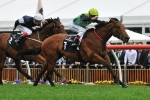 Sir Rupert Clarke Stakes The Spring Goal For Manawanui Sir Rupert Clarke Stakes The Spring Goal For Manawanui
