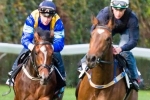McDonald Delighted With New Cox Plate Favourite McDonald Delighted With New Cox Plate Favourite