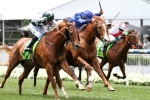 Archives Returns To Winning Form In The Red Anchor Stakes
