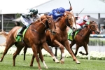 Archives Returns To Winning Form In The Red Anchor Stakes Archives Returns To Winning Form In The Red Anchor Stakes