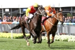 Grand Marshal On Track For Melbourne Cup After Moonee Valley Cup Win Grand Marshal On Track For Melbourne Cup After Moonee Valley Cup Win