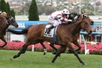 2017 The Goodwood Option for O’Malley 2017 The Goodwood Option for O’Malley