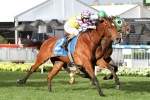 Victoria Derby Odds Update: Sacred Elixir Still Clear Favourite Victoria Derby Odds Update: Sacred Elixir Still Clear Favourite