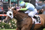 Sandown Guineas Likely for Crockett Stakes Winner Sweet Sherry