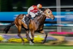 Diamond Oasis To Contest Bribie Handicap