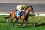 More To Come From Lankan Rupee in Darley Classic