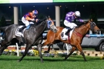 Pheidon Perth Bound after Sandown Eclipse Pheidon Perth Bound after Sandown Eclipse