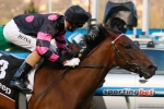 Distance right for Spinderbella in Ballarat Cup