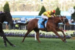 Coronation Shallan To Back-Up In Summoned Stakes Coronation Shallan To Back-Up In Summoned Stakes