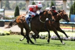 2015 Cox Plate Day Results: Winx is the Cox Plate Winner 2015 Cox Plate Day Results: Winx is the Cox Plate Winner