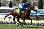 Holler Posts Commanding Telstra Phonewords Stakes Win