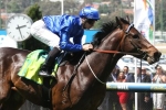 Track specialist Holler returns in the Manikato Stakes