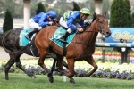 Jameka in good order for the Vinery Stud Stakes