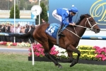 Winx back in training to defend Cox Plate Crown