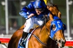 Buffering holds the top spot in Winterbottom Stakes betting Buffering holds the top spot in Winterbottom Stakes betting