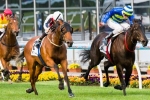 Blinkers Back On For Gypsy Diamond In Crown Oaks Blinkers Back On For Gypsy Diamond In Crown Oaks